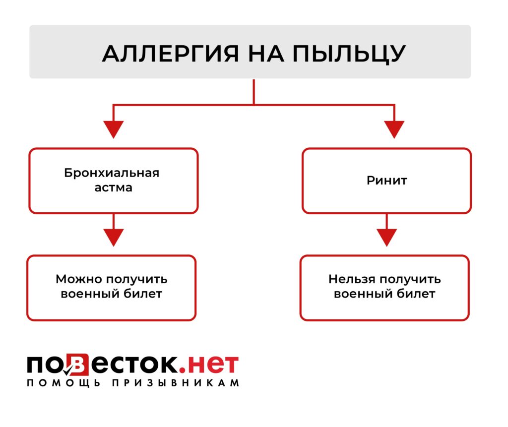 Берут ли в армию с аллергией?