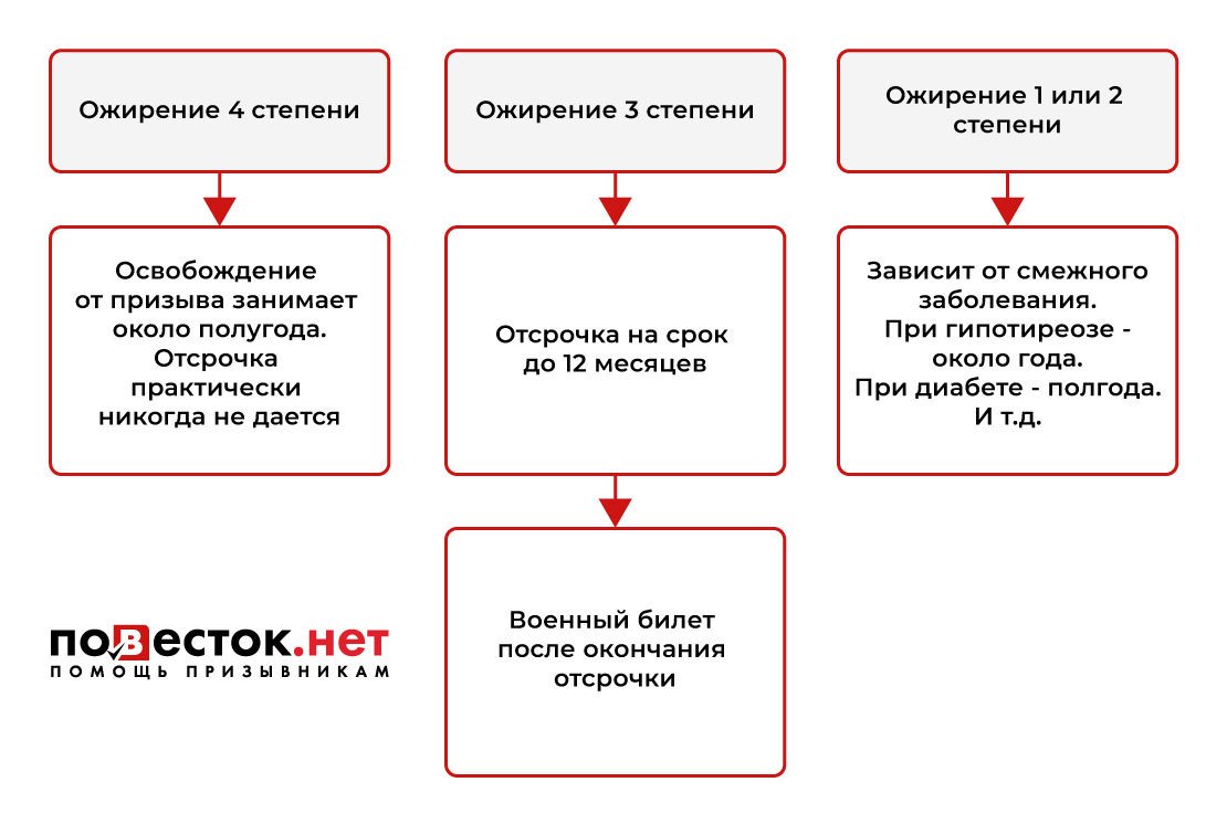 Статистика ожирения в России: чем опасен лишний вес и как питаются россияне